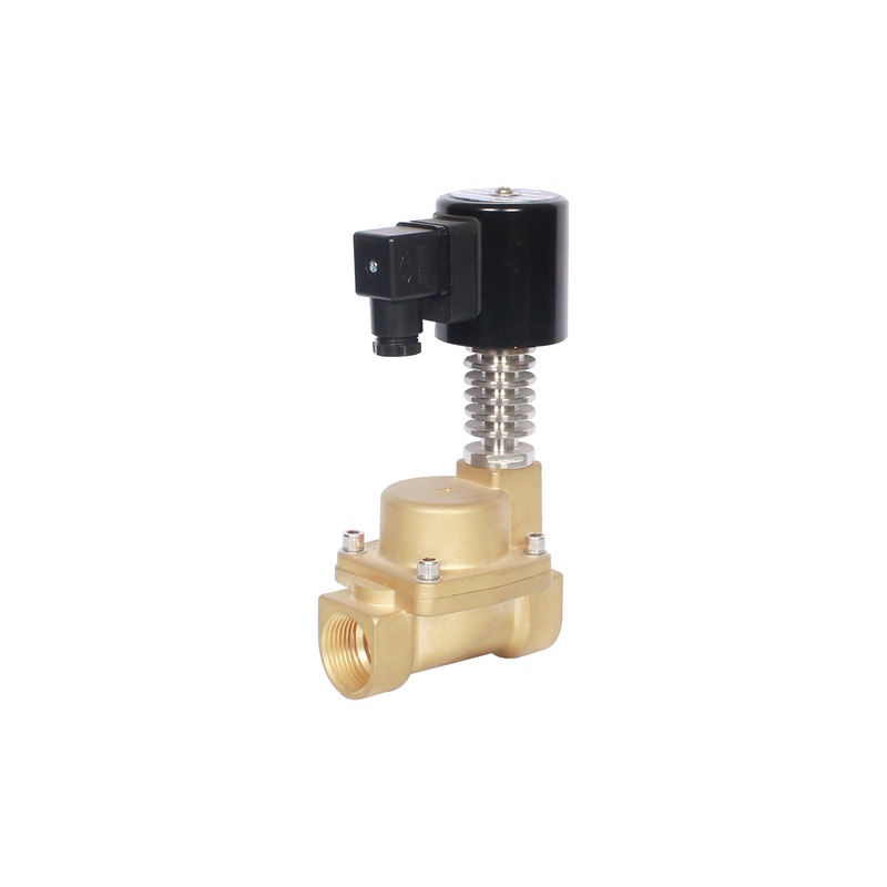 SLG-4 Brass Steam Valve