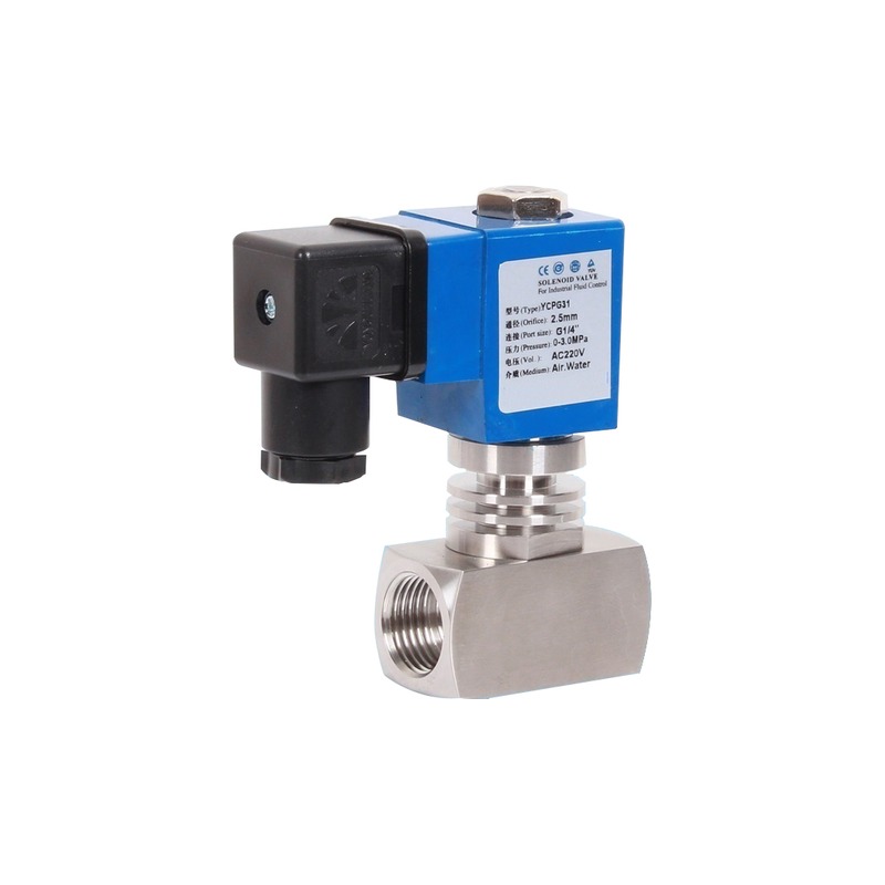 YCPG31 Stainless Threaded Steam Valve