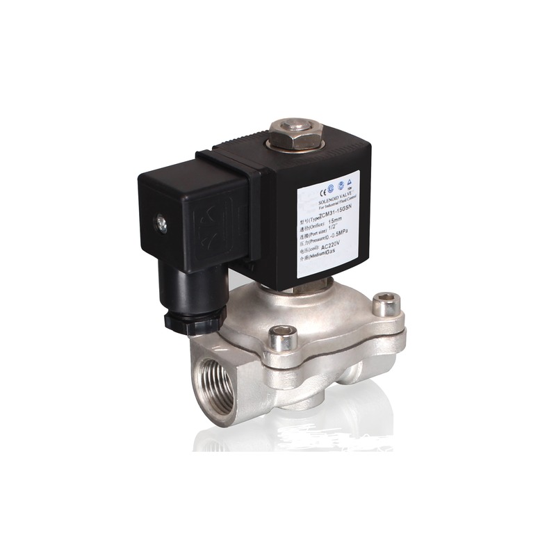 ZS Stainless Steel Solenoid Valve